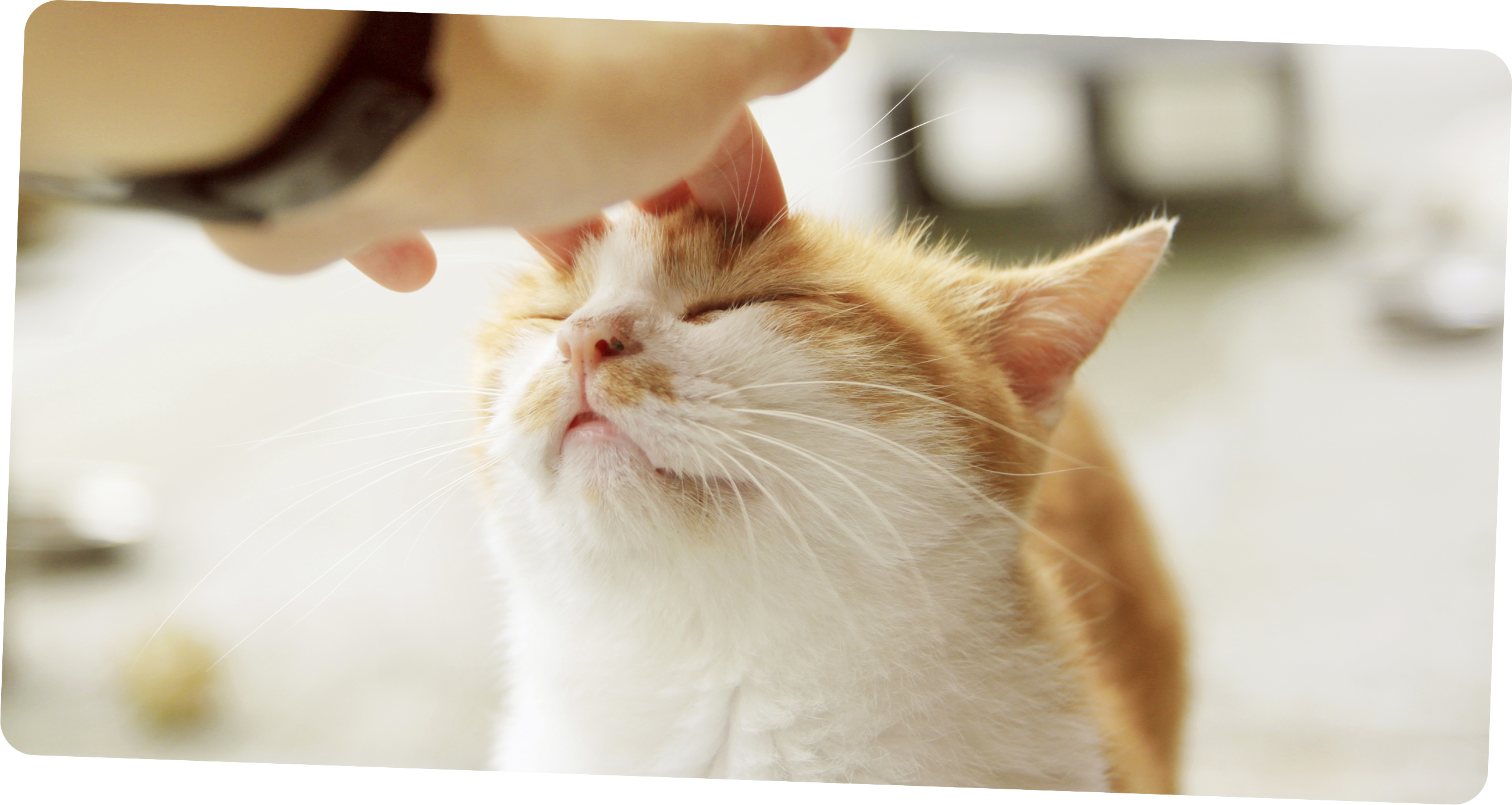 Ілюстрація принципу роботи